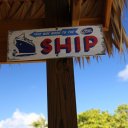 grand-cay-bahamas-23