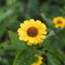 minsk-belarus-photography-8