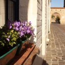 Sun drenched walkway in Bruges