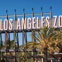 los-angeles-zoo-1-1-1