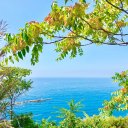 Riomaggiore of Cinque Terre, Italy