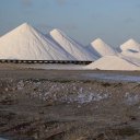 bonaire-caribbean-10