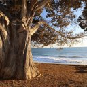 central-california-23