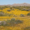 death-valley-10