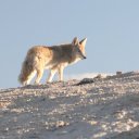 death-valley-15_0