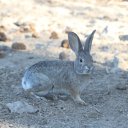 death-valley-16_0