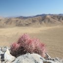death-valley-20_0
