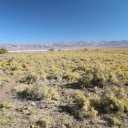 death-valley-28