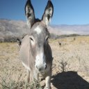death-valley-5_0