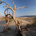 death-valley-national-park-3