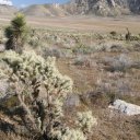 walker-pass-highway-178