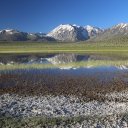 wild-willys-hot-spring-lake