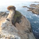 Mendocino-County-4