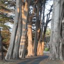 Mendocino-County-6