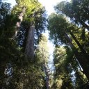 del-norte-county-1