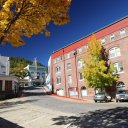 dunsmuir