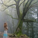 paula-tree-san-mateo