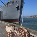 ss-jeremiah-obrien-san-francisco-4