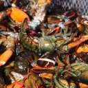 Live-Lobsters-at-the-annual-Lobster-Fest-Port-of-Los-Angeles
