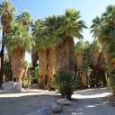 palm-springs-california-10