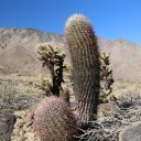 palm-springs-california-12