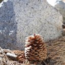 palm-springs-california-6