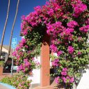 palm-springs-california-9