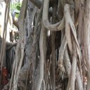 Poipet-Cambodia-7
