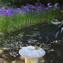 UBC-Botanical-Garden-1