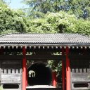UBC-Botanical-Garden-Vancouver-2