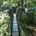 UBC-Botanical-Garden-Vancouver-4