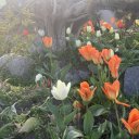 Vancouver-British-Columbia-4