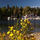View of edge of Stanley Park