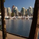 View of Vancouver residential high rises from Stanley Park