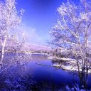 Amy\'s Pond