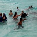 stingray-city-grand-cayman-2