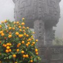 Near-steps-leading-up-to-Giant-Buddha-Ngong-Ping-360