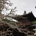 Nuns-Temple-during-a-cold-cloudy-day