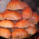 Seafood -night market, Beijing