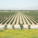 Ningxia-China-12