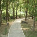 Ningxia-China-5