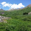 Above Tree Line