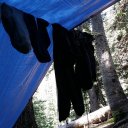 Tarp Shelter