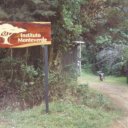 Monteverde-Cloud-Forest