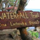 dominica-nature-island-14