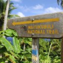 dominica-nature-island-17_0