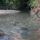 dominica-nature-island-21