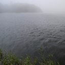 dominica-nature-island-29_0