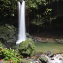 dominica-nature-island-30