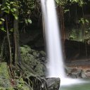 dominica-nature-island-33